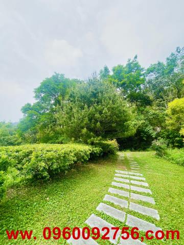 寶山農地-11