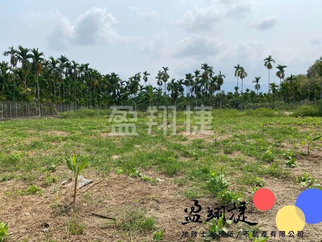 萬巒農地-3