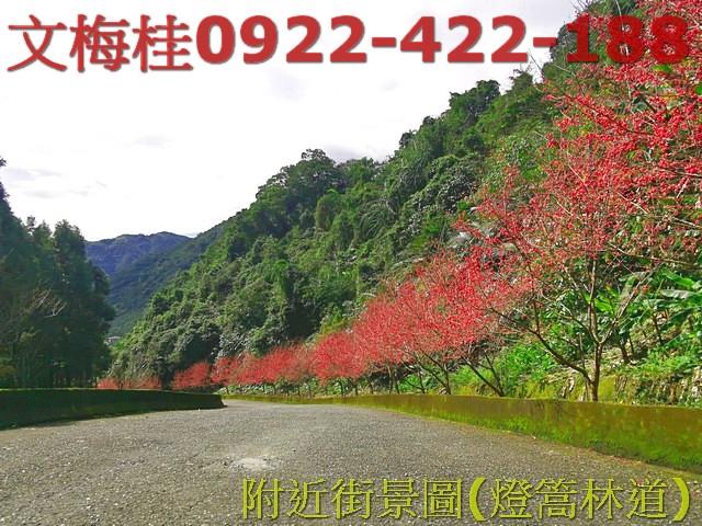 員山農地-1