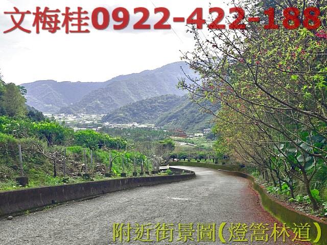 員山農地-8