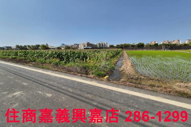 水上農地-9