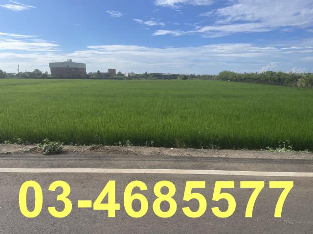 觀音農地-2