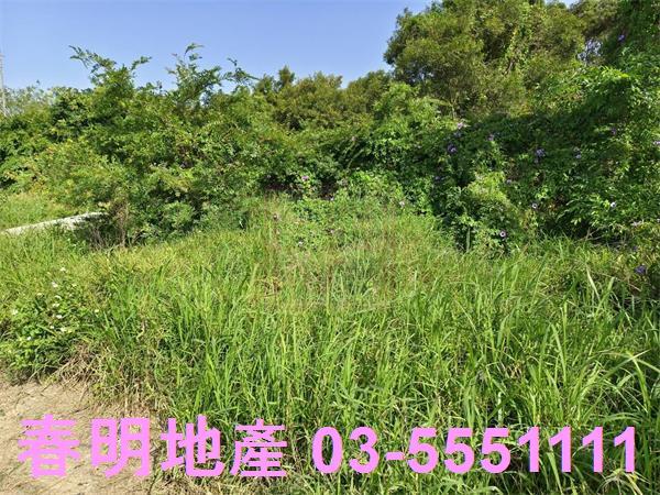湖口農地-13