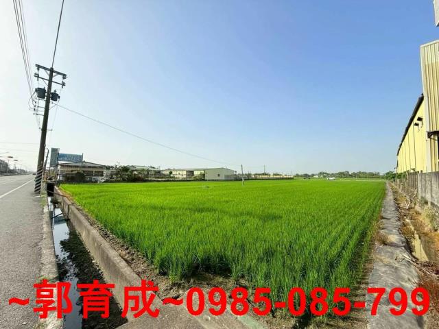 西區農地-3