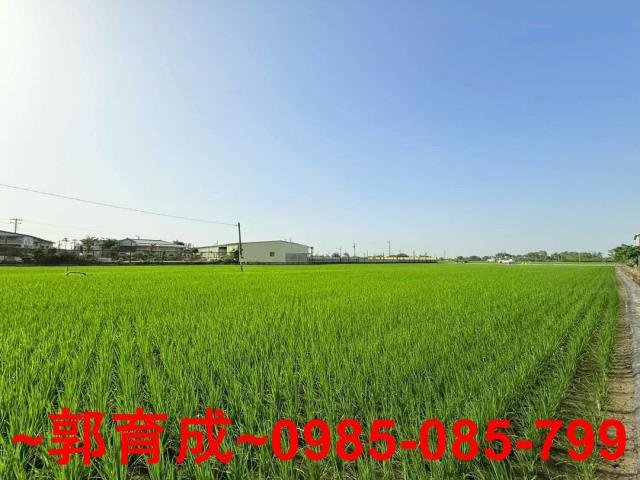 西區農地-5