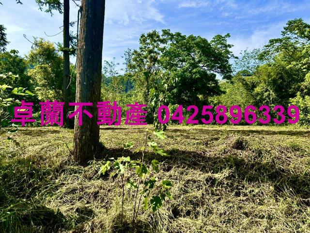 苗栗農地-10
