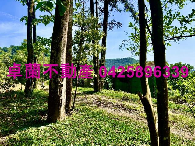 苗栗農地-12
