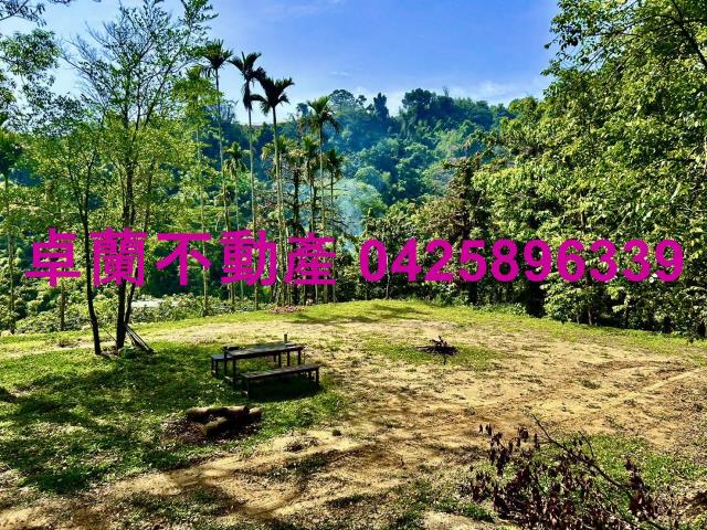 苗栗農地-13