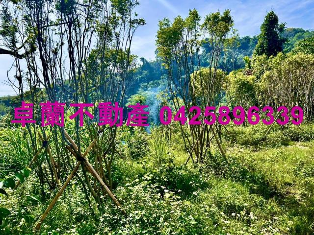 苗栗農地-1