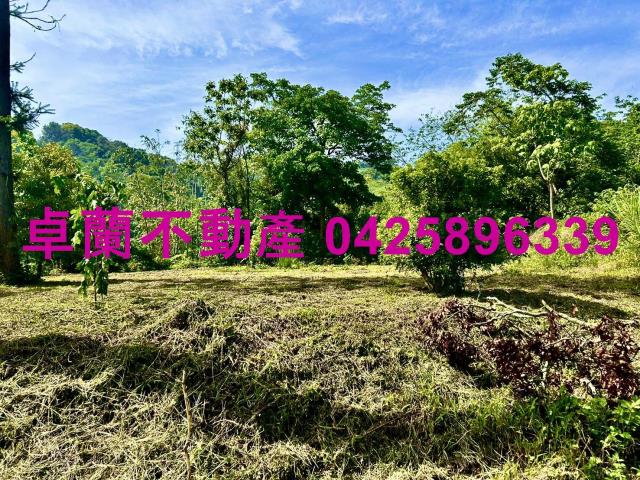 苗栗農地-6