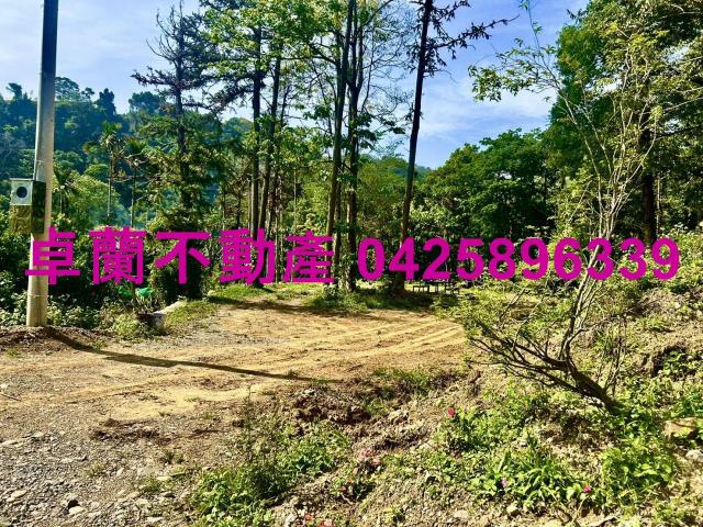 苗栗農地-7