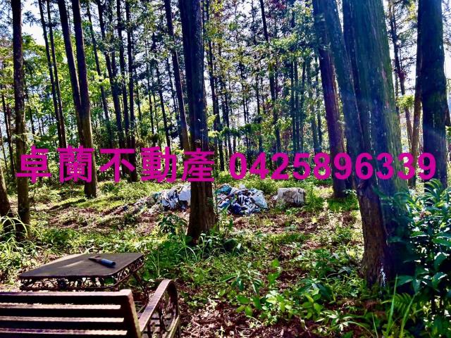苗栗農地-8