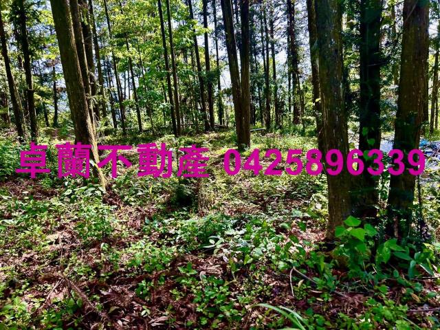 苗栗農地-9