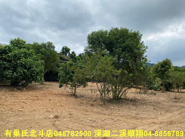 彰化社頭農地-3