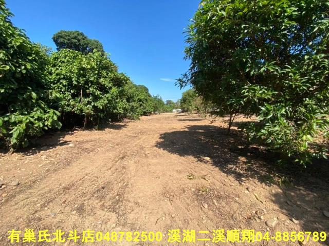 彰化社頭農地-4