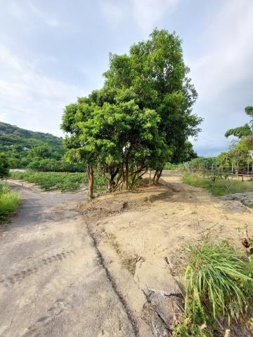 高雄燕巢農地-3