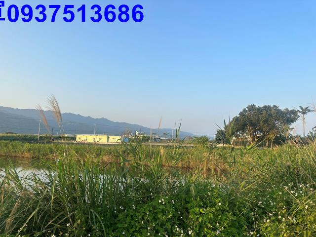 礁溪農地-4
