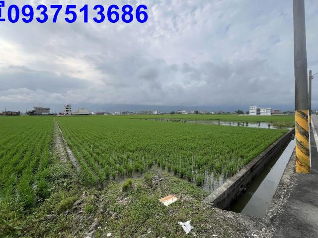 礁溪農地-15