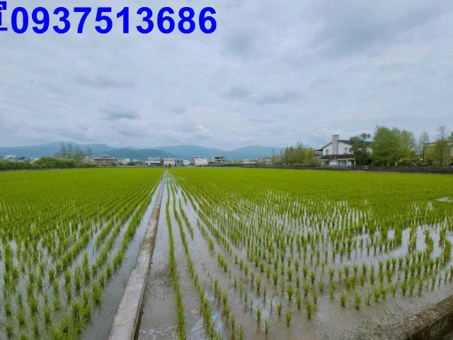 員山農地-4