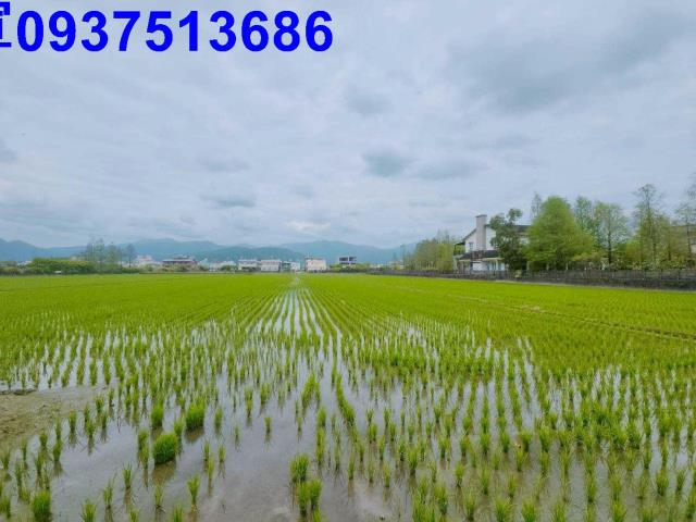 員山農地-8