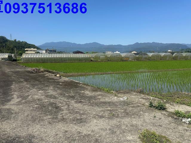 三星農地-15