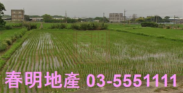 新竹新豐農地-6