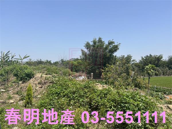 後龍農地-2