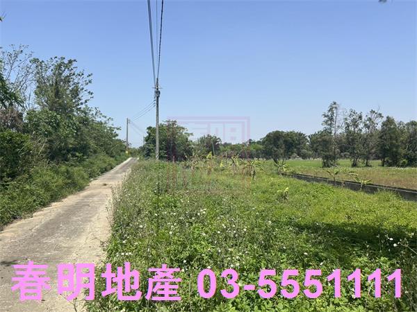 後龍農地-3