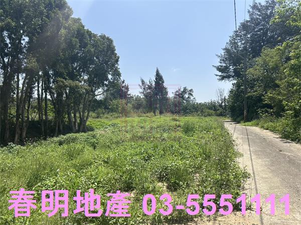 後龍農地-4