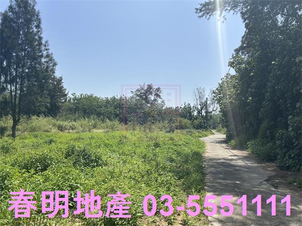 後龍農地-6