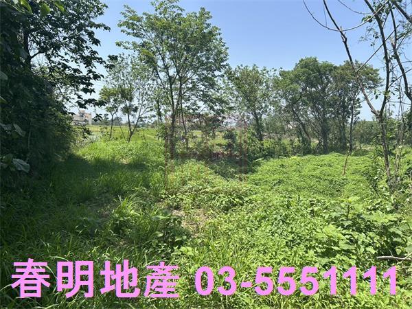 後龍農地-8