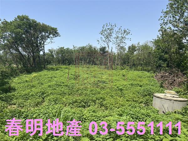 後龍農地-9