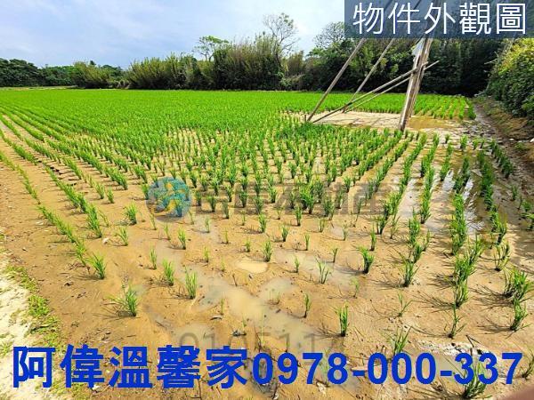 新豐農地-2