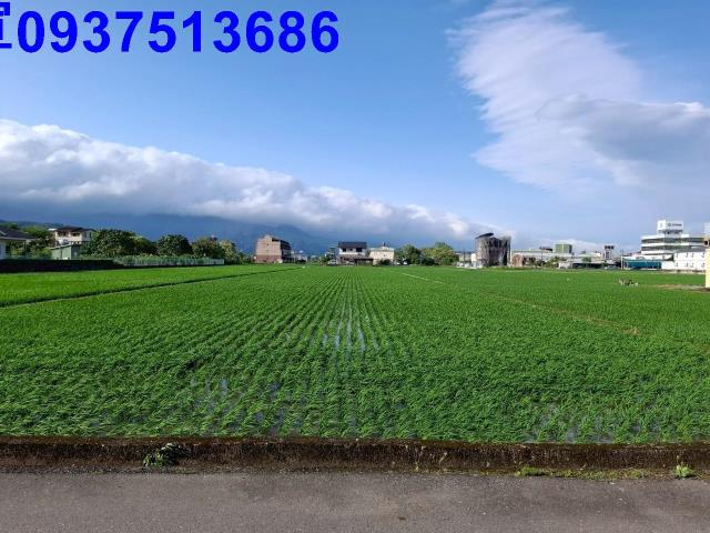 宜蘭農地-10