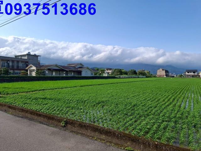 宜蘭農地-4