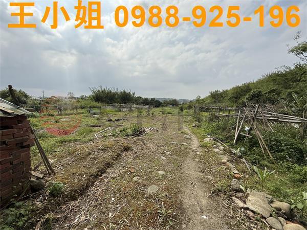 大溪農地-3