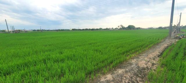 彰化埤頭農地-3