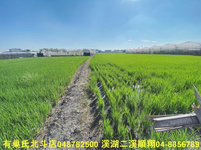 彰化大村農地-4