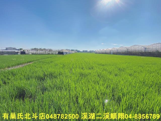 彰化大村農地-5
