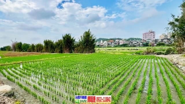 芎林農地-1
