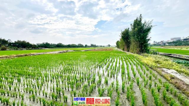 芎林農地-4