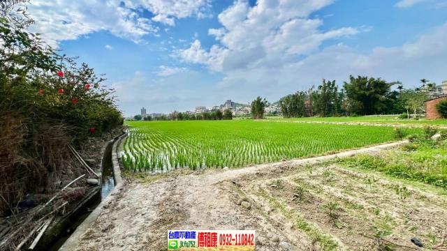 芎林農地-6