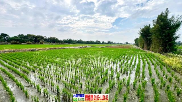 芎林農地-9