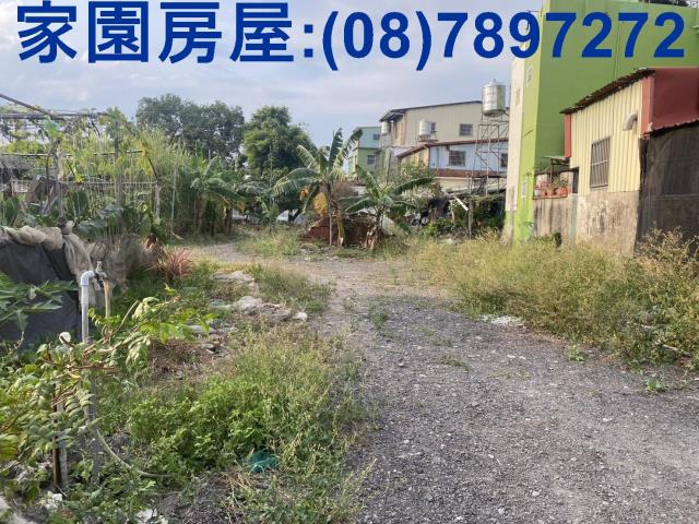 新埤農地-4