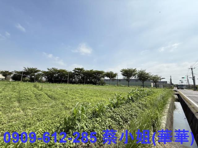 湖內工業地-1