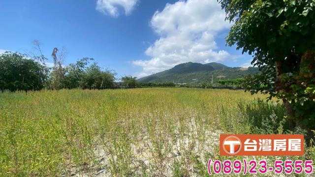 台東太麻里農地-6