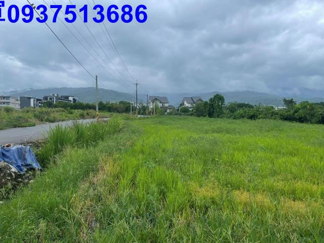 宜蘭宜蘭市農地-14