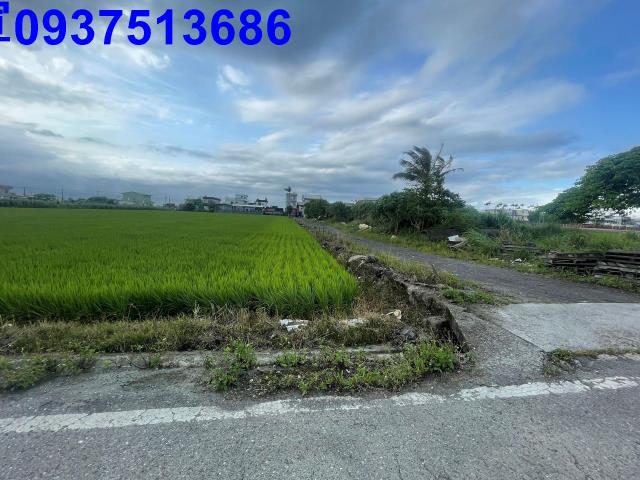 宜蘭壯圍農地-14