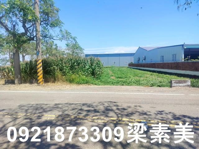 台南農地-5