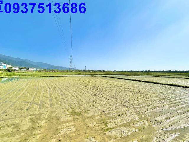 宜蘭頭城農地-4